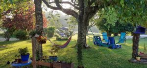 2 Jardin hamac